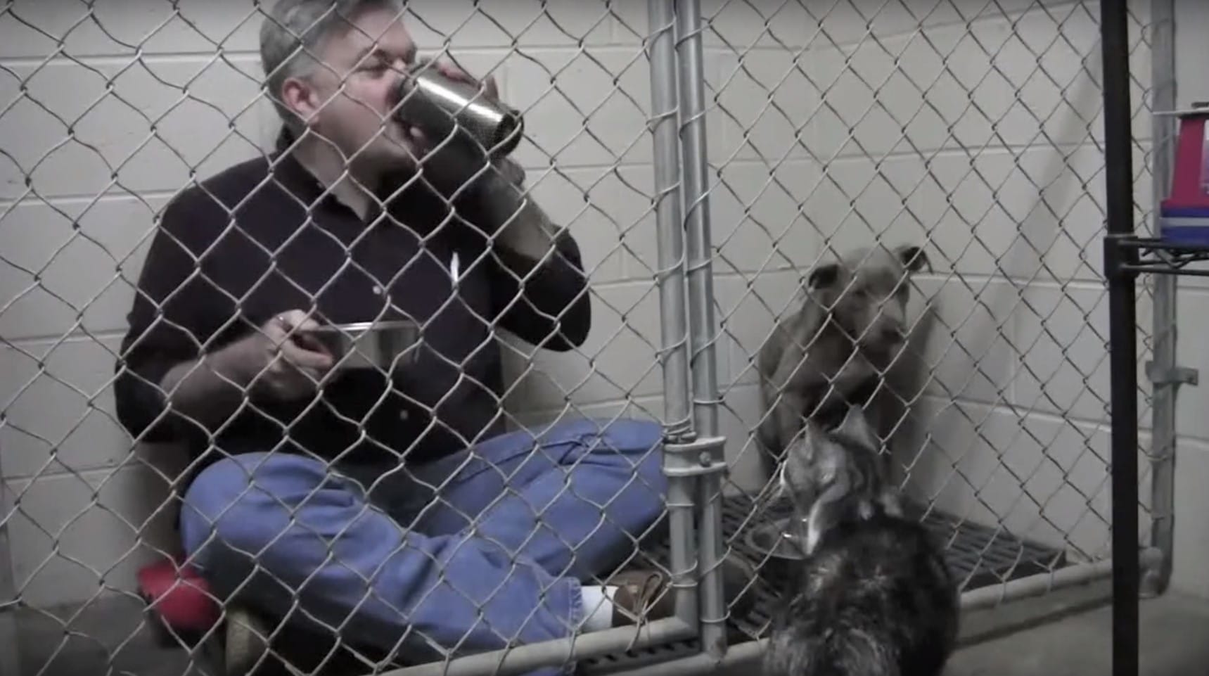 un uomo all'interno di una gabbia di un canile con un cane