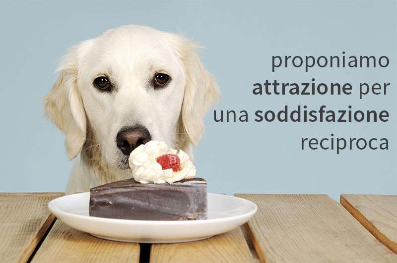 campagne di comunicazione online - creativi digitali