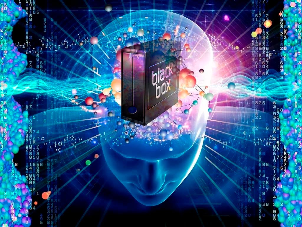 neuromarketing cervello black box