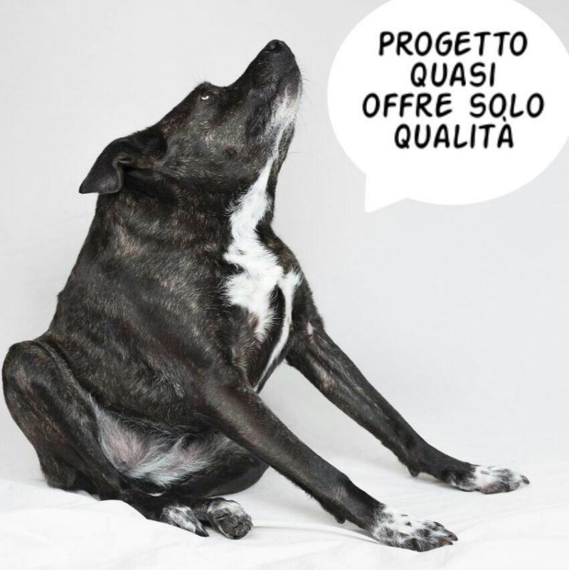 Crowdfunding e Social Network